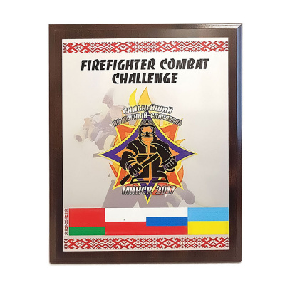 Награда Сильнейший пожарный спасатель 2017